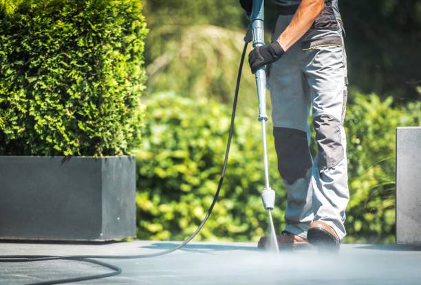 Best Gutter Cleaning  in Pine Nyon, CA
